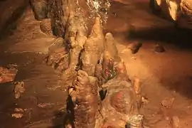 A series of stalagmites growing on the ground in one of the display rooms