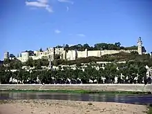 Château de Chinon, vue de la Vienne