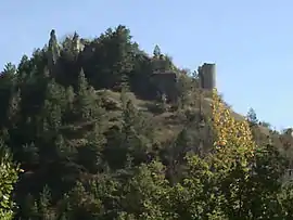 Ruins of the chateau