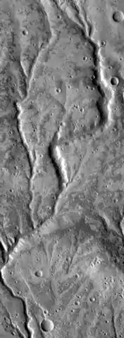 Channels near Warrego Valles, as seen by THEMIS.  These branched channels are strong evidence for flowing water on Mars, perhaps during a much warmer period.