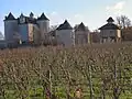 View of the Château Lagrezette.