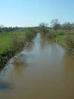 A straight watercourse with bushes and small trees on its banks surrounded by flat fields