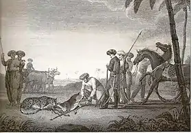 Nawabs hunting a blackbuck with their Asiatic cheetah