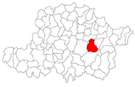 Location in Arad County