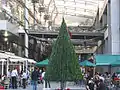 Christmas decorations on Verdun Street