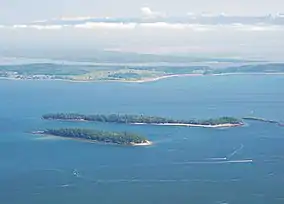 Aerial view of small forested island