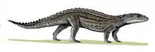 Comahuesuchus brachybuccalis