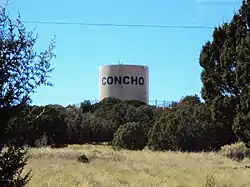 West view of the water tower in the Concho Valley area, as seen along SR 61