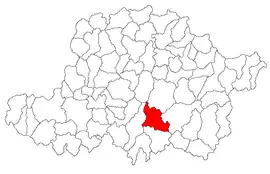 Location in Arad County