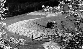 A black-and-white photograph of a single horse-drawn plow in a field on a hillside.