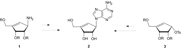 Linear & Convergent Synthesis of Carbocyclic Nucleosides