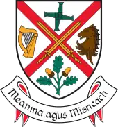 Coat of arms of County Kildare