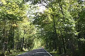 The "Covered Trail" along US 41 south of Copper Harbor