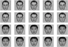 grid with 20 faces, center column shows the original face (first two faces in column are white, last two faces are Asian) without editing. The leftmost face has the distance between eyes or between nose and mouth 10 pixels smaller than the original (the middle face), the face located second from the left has the distance between eyes or between nose and mouth 5 pixels smaller than the original, the rightmost face has the distance between eyes or between nose and mouth 10 pixels larger than the original, and the face located second from the right has the distance between eyes or between nose and mouth 5 pixels larger than the original.