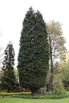 In a botanical garden in Wrocław