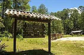 Cusuco national Park