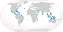 Bull shark geographic range