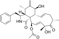 Cytochalasin D