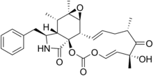 Cytochalasin E