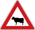 A 13: Farm animals (cow)