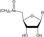 Arsenic-containing ribose derivatives (R = several groups)