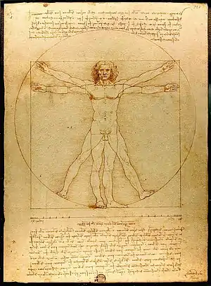 Vitruvian Man