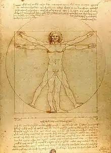 The Vitruvian Man (c. 1485) Accademia, Venice