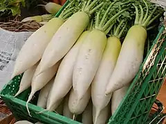 Daikon