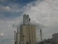 Dalhart Consumers grain elevator, 2008