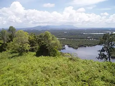 Image 47Wetland habitat types in Borneo (from Habitat)