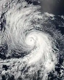 A visible satellite image of a well-defined hurricane with spiral banding and a clear eye.