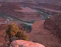 The Colorado River from Dead Horse Point State Park