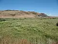 A desert meadow near Walla Walla, Washington USA.