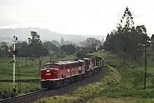 4479 and a 45 class haul a southbound goods train through the S bend south of Kyogle station, 1987