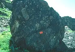 Boulder of diamictite of the Precambrian Mineral Fork Formation, along the Elephant Head Trail