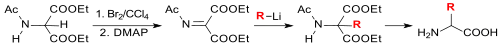 conversion of diethyl acetamidomalonate