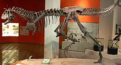 Restored skeleton