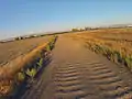 Dirt road in Fremont, California