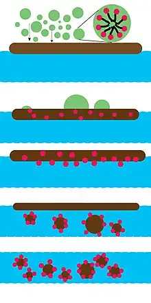 Color illustration of how oil dispersants work