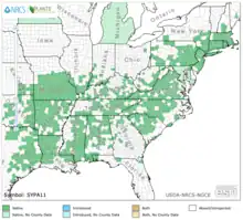 Distribution of Symphyotrichum patens by state: US — Alabama, Arkansas, Connecticut, Delaware, District of Columbia, Florida, Georgia, Illinois, Indiana, Kansas, Kentucky, Louisiana, Maine, Maryland, Massachusetts, Mississippi, Missouri, New Hampshire, New Jersey, New York, North Carolina, Ohio, Oklahoma, Pennsylvania, Rhode Island, South Carolina, Tennessee, Texas, Virginia, and West Virginia. (POWO).