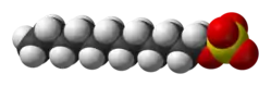 Space-filling model of the dodecyl sulfate ion