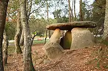 Dolmen of Oleiros, Galicia