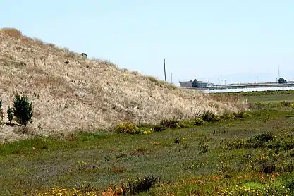 Freshwater slough and dry hill, Summer, 2005