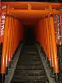 Donated torii at Hie Shrine