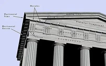 Upper parts, labelled