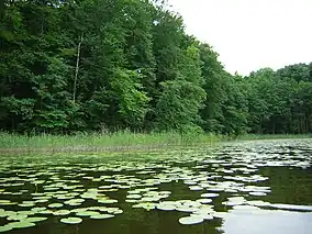 Jeziorak lake