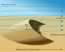 diagram showing movement of sand dune in relation to wind direction