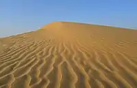 Thar Desert