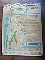 Sign showing trails at Oregon Dunes lookout.