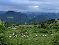 View from Džankići